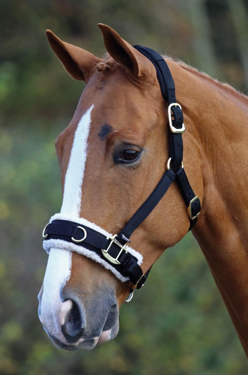 Shires Cavecon Double Mouton Synthetique - SHOP HORSE